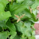 지성유치원 이미지