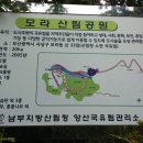 모라산림공원 이미지