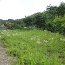 양평-용문-용문-2 이미지