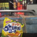 9골드렙타일 | 정릉 파충류샵, 9골드렙타일 방문 후기! 도마뱀 나인골드랩타일