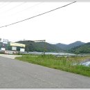 안국천 네이버블로그