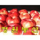 정원농산
