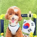 놀러오개 네이버블로그