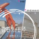 [강원도/원주 || 여행] 가볼만한 곳 :: 뮤지엄산 / 원주시립미리내도서관