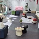 동물보육원 고양이 후원 카페 이미지