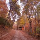 민주지산자연휴양림 이미지