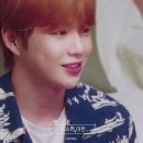 볼리즘 이미지