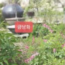 소회당