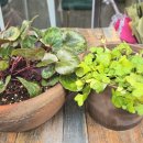 포곡로9 이미지