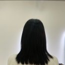 리즈붙임머리