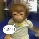 오룡푸르지오1차 작은도서관 | 우리빈둥