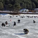 모텔 32일 | 2026 평창 송어 축제 가이드 텐트 낚시 예약·요금·꿀팁까지 한눈에!