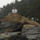 고려K타이거즈 이미지