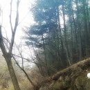 천지황찜질방 이미지