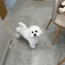 몽아뜨 이미지