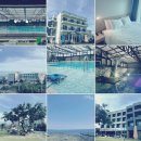 펜션연리 | 제주 펜션연리에서 즐기는 완벽한 휴식: 풍경, 편의시설 및 전용 수영장 체험