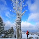 소사CGV 사거리 이미지