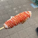 쌍둥이네92