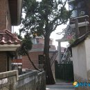 가리봉동 이미지