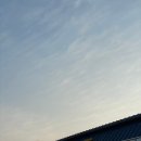 농수산물센터 | 울산 삼산 농수산물시장 회센터 희야횟집 / 부산초장 후기