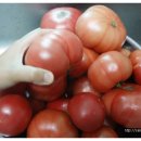 견우농장 이미지