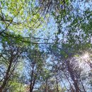 강촌레일바이크 이미지