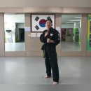 용인대 맹호합기도 이미지