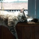 주심메디칼 이미지