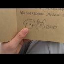 퐃 이미지