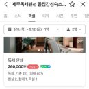 제주독채펜션돌집감성숙소돌담점 네이버블로그