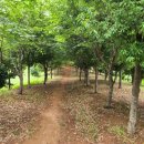 마동 북측 이미지