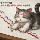 케이티알파 | 케이티알파 주주총회 - KT는 정부가 안무서운 듯?(자회사 관리 안하나?)
