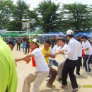 무을초교 이미지