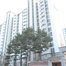 책향기마을15단지 상록데시앙 네이버블로그