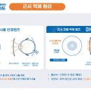 한빛안경랜드