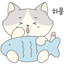 리리제주