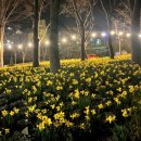 월아산 숲속의 진주 이미지