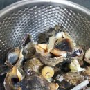 도꼬시에 이미지