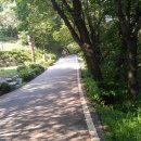 황철미가 이미지