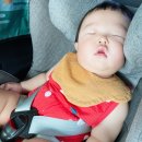 베르빈 토탈뷰티 | 뚜니 육아일기~D+365 : 11개월아기 일상, 돌발진, 생활패턴, 발달 (스압)