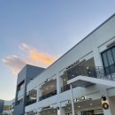 현대애견 이미지