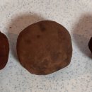 로로러버스 이미지