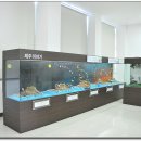 레스토리 이미지