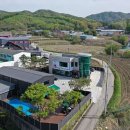 패밀리애견 이미지