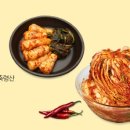 올포인트주 이미지