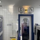 올리스 펫 쌀롱 이미지