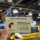 장수농수산물 | 안양농수산물시장 내돈내산 방어 포장 평촌수산시장