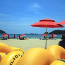 상주은모래비치4 이미지