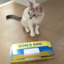 배변의기술 | 배변 냄새 고민 끝! 쏜쓰백 냄새차단봉투 리얼후기