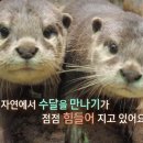 해달 - 속초시 | 해달